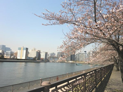 【その他】 | パークサイド・ウイングス