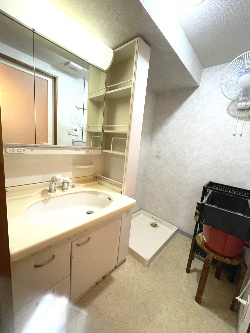 ヴェルディ中山の洗面所