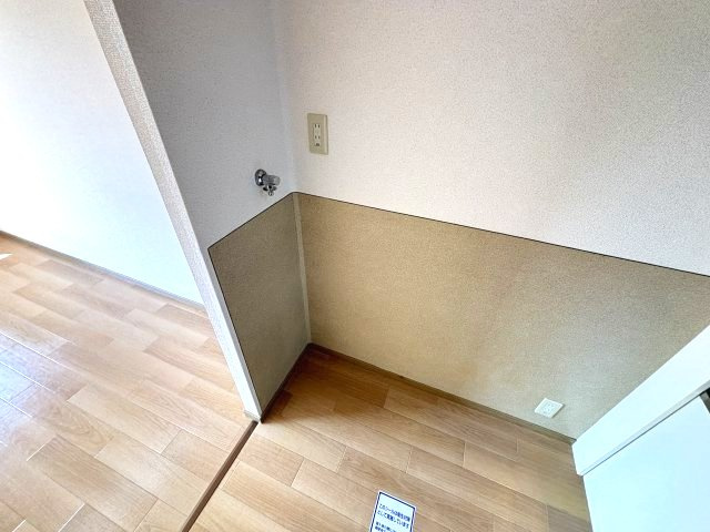 マンハイムスギモトのその他