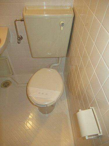 狛江市和泉本町１丁目の賃貸マンションのトイレ|トイレ