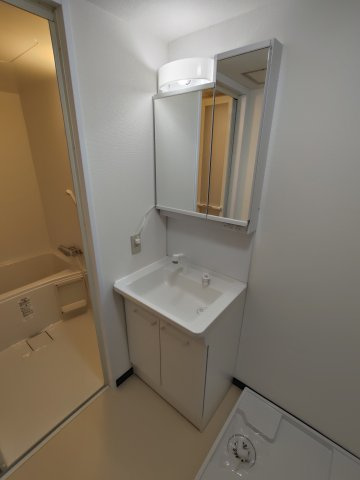 ロイヤルストークの洗面所|洗面脱衣所