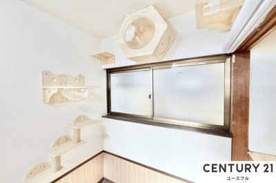 【その他】 | 狭山市池尻中ネコハウス