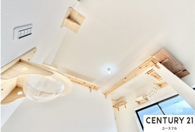  | 狭山市池尻中ネコハウス