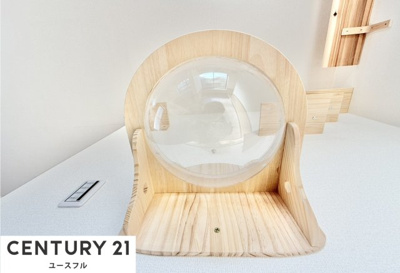  | 狭山市池尻中ネコハウス