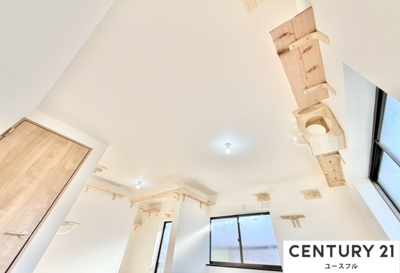  | 狭山市池尻中ネコハウス