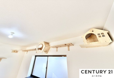  | 狭山市池尻中ネコハウス