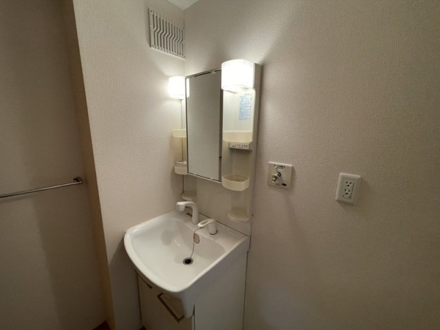 ウィル山崎の洗面所