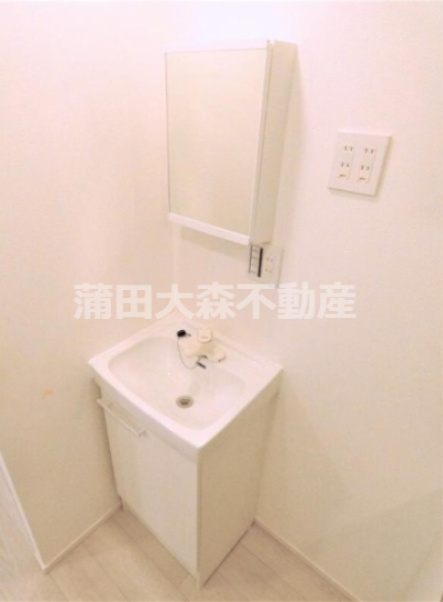 THE ROOM'S ザルームス大森町駅前の洗面所