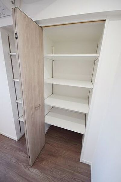 アイルグランデ押上イーストの収納|クローゼット