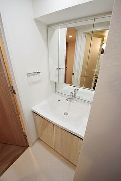 アイルグランデ押上イーストの洗面所