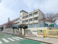 コンフォール学園緑が丘第２団地28号棟の周辺|小束山小学校