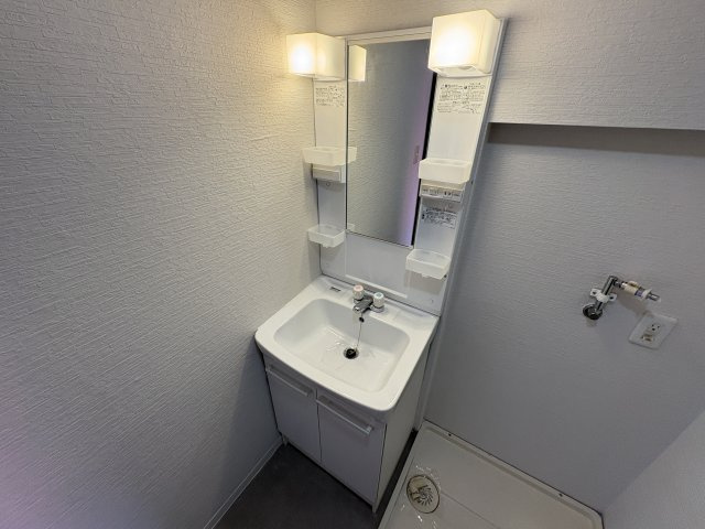 サンロイヤル唐櫃の洗面所