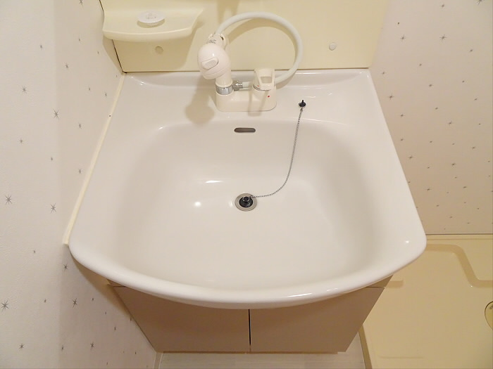 レジデンスミヤビの洗面所