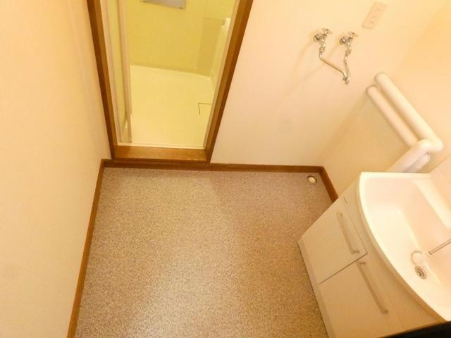 エイブルハイツの洗面所