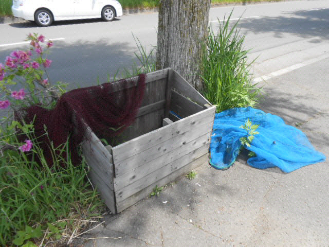 エイブルハイツの設備