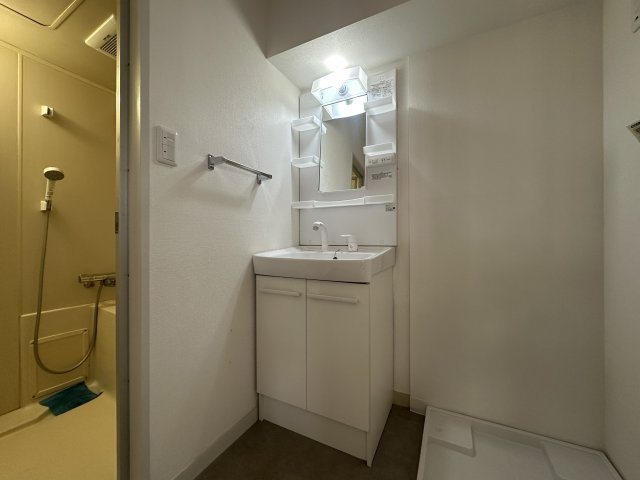 川崎市多摩区菅北浦３丁目の賃貸マンションの洗面所