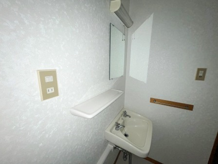 ハイネスイイダの洗面所