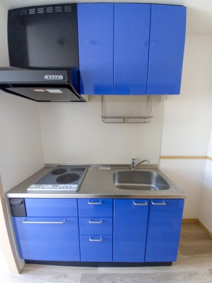 【キッチン】 | ダリア新高円寺 | 2口IHコンロのキッチン。同設備の別室写真を使用しております。