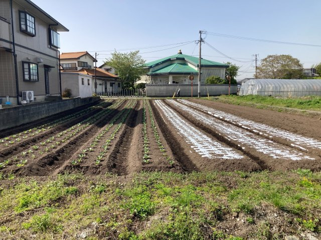 小郡市松崎　売り土地
