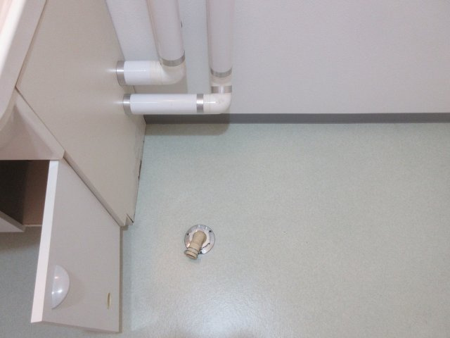 フローレンス①のその他