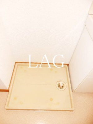 【設備】 | カーネリアンコート．Ｔ・Ｓ | 室内洗濯機置き場です。