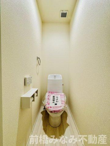 高崎市新保田中町24-1期　２号棟(全３棟)　リナージュ　新築建売分譲の玄関|落ち着いた玄関です