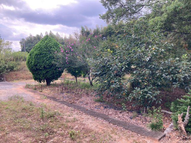 小郡市三沢　売り土地の外観|外観です