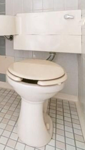 ライオンズマンション板橋区役所前のトイレ