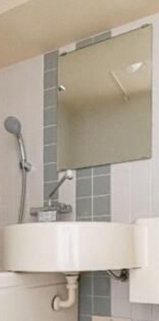 ライオンズマンション板橋区役所前の洗面所