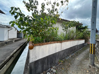 【外観】 | 守山市木浜町　中古戸建