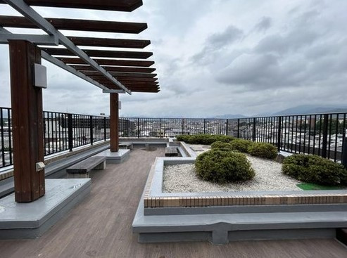  | S52142-ｺｽﾓ吉田近衛通