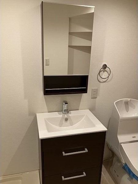 LUMINA港栄の洗面所