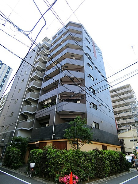 カテリーナ浅草