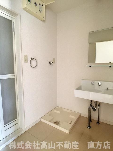 クラッセ感田の洗面所