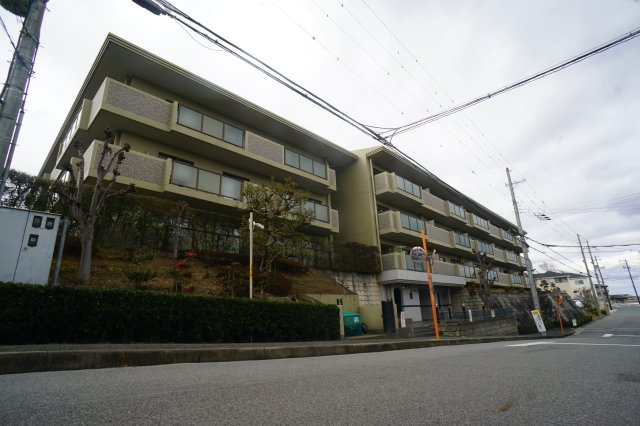 奈良市疋田町の賃貸マンションの周辺