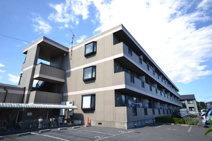 エーデルワイスの画像