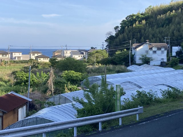 河津町　見高の周辺