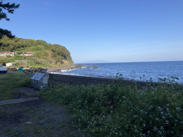 河津町　見高の周辺