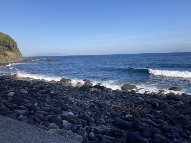 河津町　見高の周辺