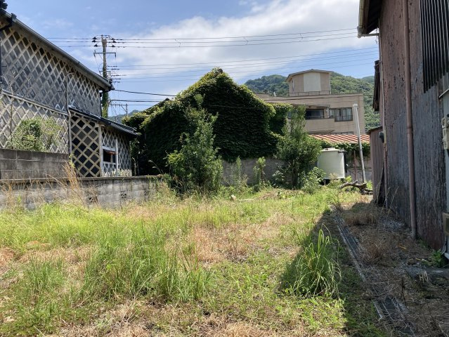 下田市　河内の庭