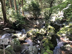 下田市　加増野の周辺