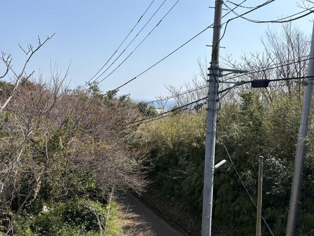 下田市　白浜の展望