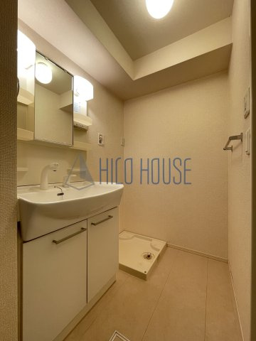 フェリーチェ(仙波町)の洗面所