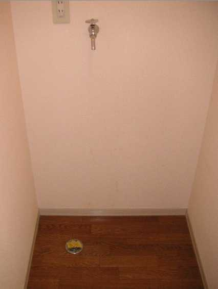 ソフィア　バストイレ別　室内洗濯機置場　学生おすすめのその他