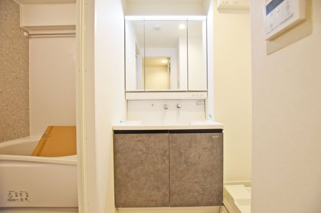 レックスタウン新高弐号館の独立洗面台|2025年12月撮影