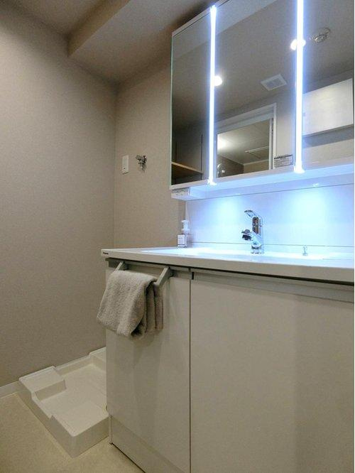 ダイアパレス女池上山の洗面所