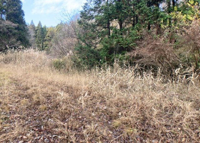 【外観】 | 土地購入を検討されている場合、境界杭がない状態で購入してしまうと境界確定測量をする必要があり、費用がかかります。購入の前に、売主、隣土地所有者立ち合いのもと境界を確定し境界杭を設置するのがベストです。