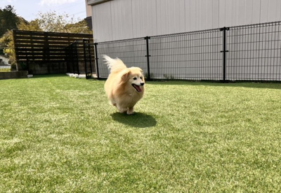 【その他共用部分】 | フレンシア