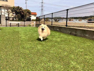 【その他共用部分】 | フレンシア