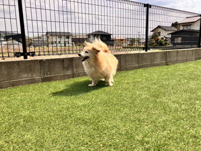 【その他共用部分】 | フレンシア